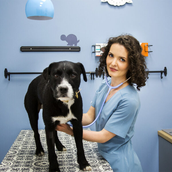 1000x1000_0003_Warstwa 6