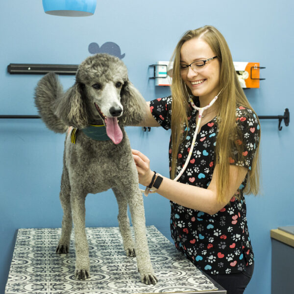 1000x1000_0006_Warstwa 3