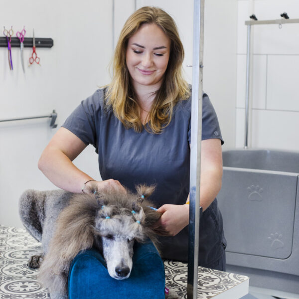 1000x1000_0007_Warstwa 10