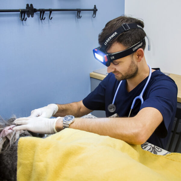 1000x1000_0010_Warstwa-1